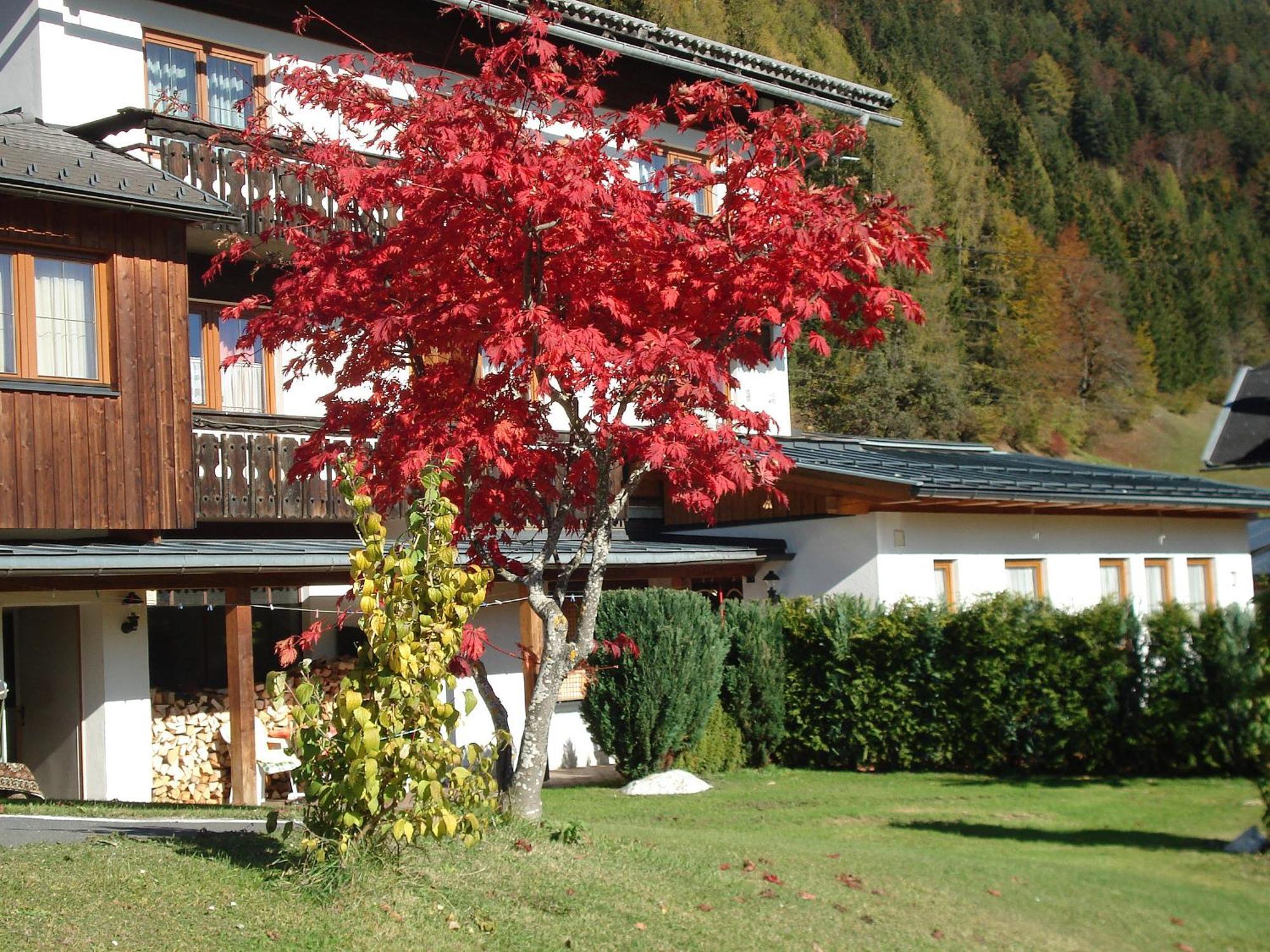 Ferienwohnungen Plattner Weissensee Dış mekan fotoğraf